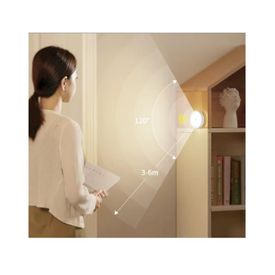 Image-1