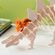 imageUrl_7