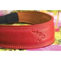 EDDYCAM Correa para Cámara Modelo Red con Costura Natural, 2"" de Ancho