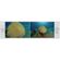 imageUrl_3