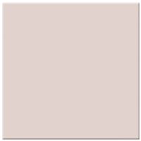 Tiffen Filtro Warm Soft/FX 1/2 4 x 4"" - Difusión, 100 x 100 mm, 4 mm de grosor
