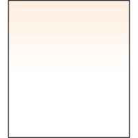 LEE Filters Filtro Graduado Coral 2 150 x 170mm - Transición Suave, Construcción de Resi
