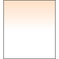 LEE Filters Filtro Graduado Coral 4 150 x 170mm - Bisel Suave, Construcción de Resina