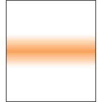 LEE Filters Filtro Coral Stripe 150 x 150mm - Graduado Vertical, Construcción de Resina