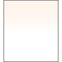LEE Filters Filtro Graduado Coral 1 150 x 170mm - Bisel Duro, Construcción de Resina