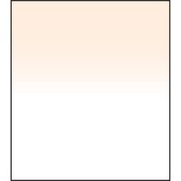 LEE Filters Filtro Graduado Coral 2 150 x 170mm - Transición Dura, Construcción de Resin