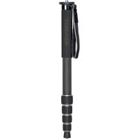 Tiltall Monopod MP-315C 5 Secciones Carbono 73.5"" Altura Máxima 19.3"" Largo Cerrado