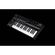 imageUrl_6