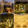 imageUrl_8