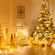 imageUrl_4
