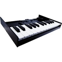 Roland K-25m Teclado Portátil de 25 Notas para Módulos Boutique