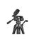 imageUrl_7