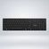 imageUrl_5