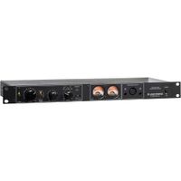 Lake People Amplificador de Auriculares G118 Balanceado de Clase Referencia, 2 Canales, 6