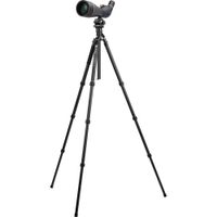 Fotopro Golden Hawk Pro 100 Kit de Telescopio 25-75x100mm con Trípode de Carbono
