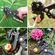 imageUrl_10