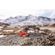 imageUrl_6
