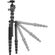 imageUrl_6