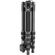 imageUrl_7