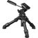 imageUrl_5