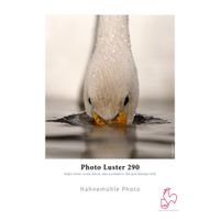 Hahnemuhle Papel Fotográfico Luster 290 Inkjet Roll 24"" x 100' - Alta Opacidad y Resisten