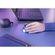 imageUrl_7