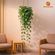 imageUrl_1
