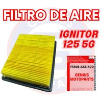 FILTRO DE AIRE IGNITOR 125 5G 17208-AAB-A00