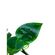 imageUrl_2