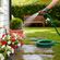 imageUrl_8