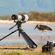 imageUrl_7