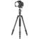 imageUrl_10