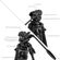 imageUrl_7