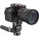 imageUrl_7