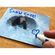imageUrl_10