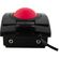 imageUrl_4