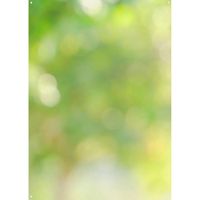 Westcott X-Drop Canvas Backdrop Forest Bokeh 5 x 7' - Tela Resistente y Texturizada