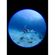 imageUrl_5
