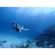 imageUrl_6