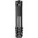 imageUrl_5