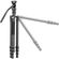 imageUrl_4