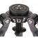 imageUrl_6