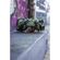 imageUrl_10