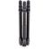 imageUrl_7