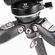 imageUrl_10