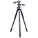 imageUrl_4