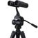 imageUrl_7