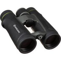 Vanguard Binoculares 10x42 Endeavor ED IV con Cristales HOYA ED, Prismas SK-15 y Recubrimi