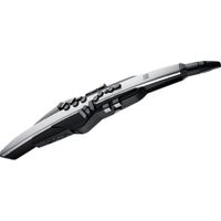 Roland Aerophone Pro Instrumento de Viento Digital con ZEN-Core SuperNATURAL Acoustic, Sen