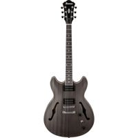 Ibanez Guitarra Eléctrica Hollow-Body AS53 Artcore Series con Cuerpo de Sapele, Mástil d